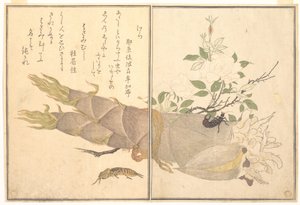 Maulwurfsgrille (Kera); Ohrwurm (Hasami-mushi), aus dem Bilderbuch der kriechenden Kreaturen (Ehon mushi erami) von Kitagawa Utamaro