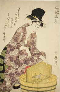 Murasaki Shikibu: Vogel, aus der Serie "Berühmte Frauen und ihre Gedichte über Blumen, Vögel, Wind und Mond (Meifu eika kacho fugetsu)"