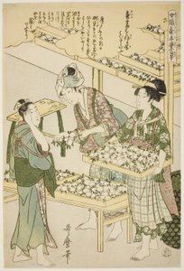 Nr. 6 (roku), aus der Serie "Frauen in der Seidenraupenzucht (Joshoku kaiko tewaza-gusa)"