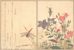 Rote Libelle Akatonbo, Heuschrecke Inago..., 1788