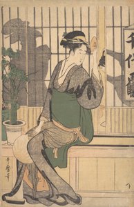 Schatten auf dem Shoji, 1790er Jahre