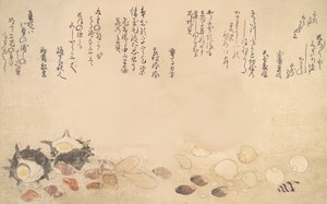Muscheln unter Wasser, 1790