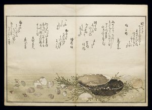 Shiohi no tsuto (Geschenke von der Ebbe), bekannt als das Muschelbuch, 1789 von Kitagawa Utamaro