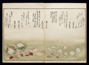 Shiohi no tsuto (Geschenke von der Ebbe), bekannt als das Muschelbuch, 1789 von Kitagawa Utamaro