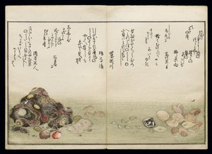 Shiohi no tsuto (Geschenke von der Ebbe), bekannt als das Muschelbuch, 1789