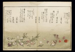 Shiohi no tsuto (Geschenke von der Ebbe), bekannt als das Muschelbuch, 1789