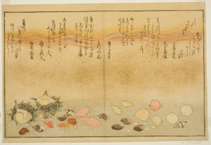 Shiro-gai, namima-gashiwa, makura-gai, iro-gai, aza-gai, sadae-gai, aus dem illustrierten Buch "Geschenke von der Ebbe (Shiohi no tsuto)"