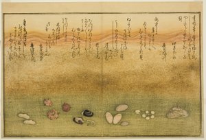 Sudare-gai, hana-gai, sakura-gai, mumeno-gai, nadeshiko-gai und kinuta-gai, aus dem illustrierten Buch "Geschenke von der Ebbe"