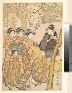 Die Oiran Kasugano von Ogiya auf Parade unter blühenden Kirschbäumen von Kitagawa Utamaro