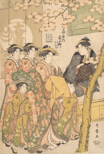 Die Oiran Kasugano von Ogiya auf Parade unter blühenden Kirschbäumen, ca. 1788 von Kitagawa Utamaro