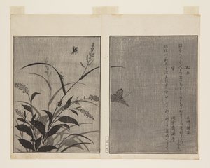 Baumgrille (Matsumushi) und Glühwürmchen (Hotaru) von Kitagawa Utamaro