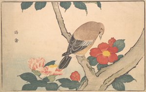 Kamelien mit einem Vogel, 1789