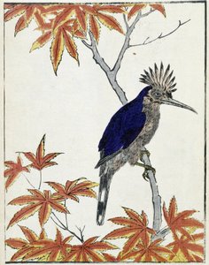 Vogel auf einem Baum. Japanische Zeichnung von Kitao Kosuisai von Kitao Shigemasa