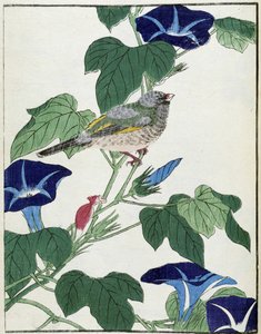 Vogel auf einem Baum. Japanische Zeichnung von Kitao Kosuisai