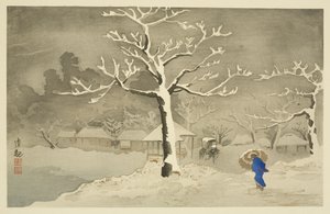 Unteres Ufer bei Mimeguri, Mukojima von Kiyochika Kobayashi