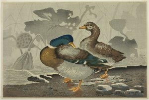 Ein Paar Enten an einem Lotus-Teich von Kobayashi Kiyochika