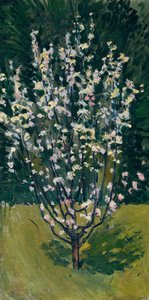 Blühendes Bäumchen von Koloman Moser