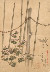 Bambuszaun und Chrysanthemen von Kono Bairei
