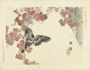 Vogel und rote Rebe