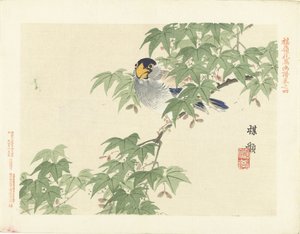 Grau-blauer Vogel von Kono Bairei