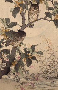 Zwei Eulen in einem Baum aus Bunrei Kacho Gafu von Kono Bairei (1844-95), veröffentlicht 1885 von Kono Bairei