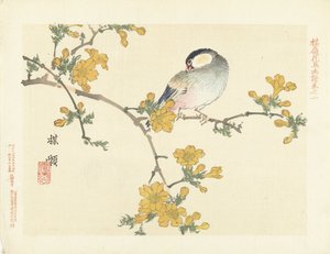 Singvogel auf blühendem Zweig von Kono Bairei