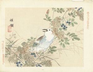 Singvogel zwischen Herbstgräsern von Kono Bairei