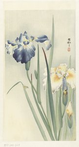 Schwertlilien von Ohara Koson