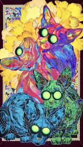 Leuchtende psychedelische Katzen von Kostyantin Malginov