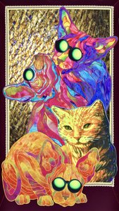 Groovy Brillenkatzen von Kostyantin Malginov