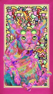 Psychedelische Sphynx-Katze von Kostyantin Malginov
