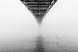 Neblige Brücke und Vogel von Krunoslav Nevistic