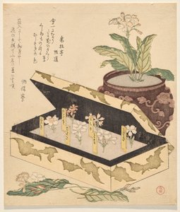 Sortiment von Primeln in einer Lackbox von Kubo Shunman