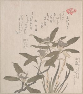  von Kubo Shunman