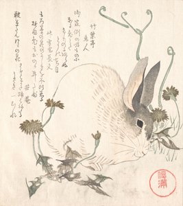 Hase und Löwenzahn