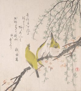 Japanische Weißaugen mit Pflaumenbaum und Weide..., ca. 1810