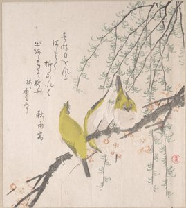  von Kubo Shunman