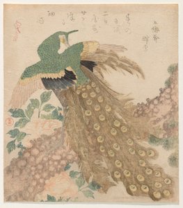 Von drei Stücken [Pfau] (Mi hira no uchi) von Kubo Shunman