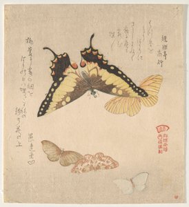 Das Malhandbuch der Schmetterlingsschwärme (Guncho? Gafu) von Kubo Shunman