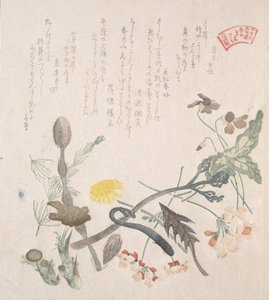 Veilchen, Primeln und andere Frühlingsblumen, 19. Jahrhundert