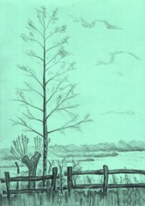 Kahle Baumlandschaft