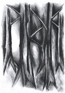 Dunkler Mysteriöser Wald von Kulik