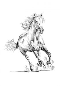Dynamisches galoppierendes Pferd