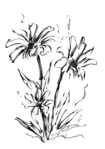 Monochrome Blumenskizze