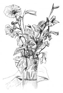 Bleistift-Blumenstillleben
