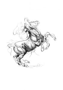 Steigendes Pferd Skizze