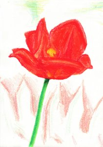 Rote Wachsmalstiftblume