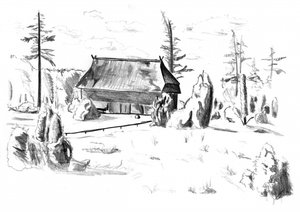 Rustikale Waldhütte
