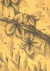 Sepia Botanische Zeichnung