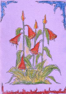 Lebendige Rote Blüten